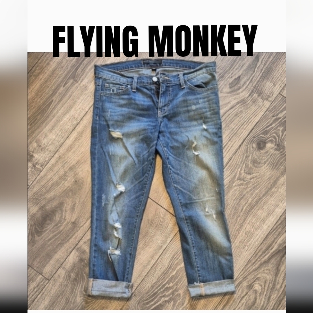 Flying Monkey Light Blue Distressed Cropped